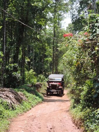 Photo of Trip to Thangaali Homestay, Karnataka by Travel Tales