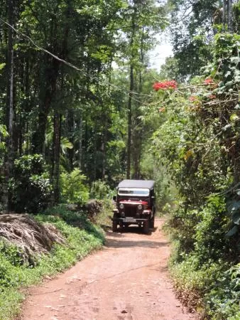 Photo of Trip to Thangaali Homestay, Karnataka by Travel Tales
