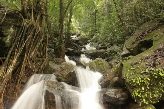Photo of Trip to Thangaali Homestay, Karnataka by Travel Tales