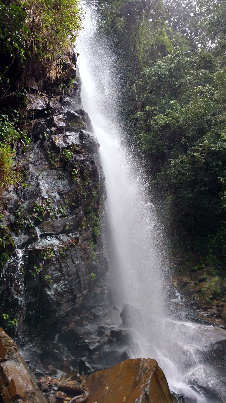 Photo of Trip to Thangaali Homestay, Karnataka by Travel Tales