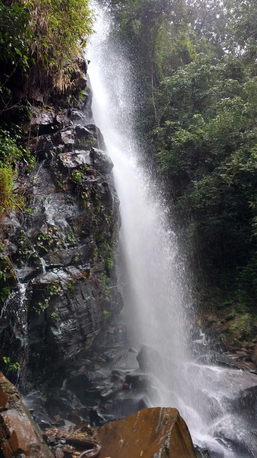 Photo of Trip to Thangaali Homestay, Karnataka by Travel Tales