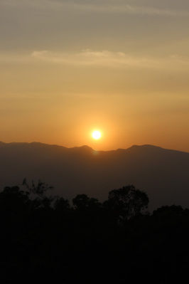 Photo of Trip to Thangaali Homestay, Karnataka by Travel Tales