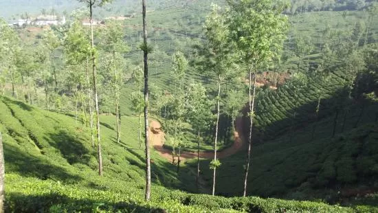 Photo of Trip to Thangaali Homestay, Karnataka by Travel Tales