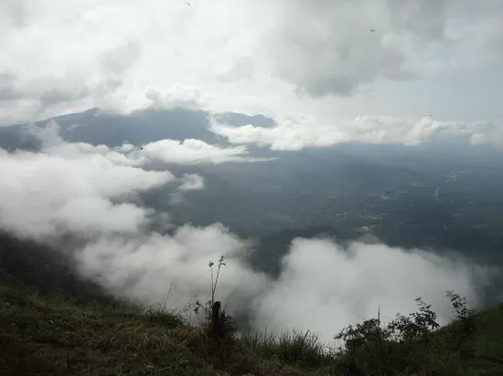 Photo of Trip to Thangaali Homestay, Karnataka by Travel Tales