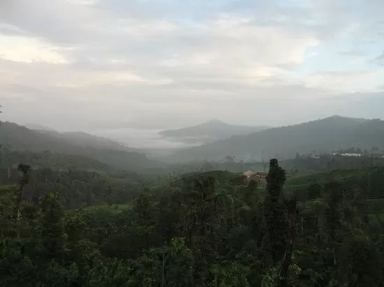 Photo of Trip to Thangaali Homestay, Karnataka by Travel Tales