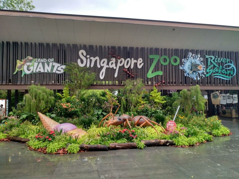 Photo of Singapore Zoo, Singapore by TravelTales