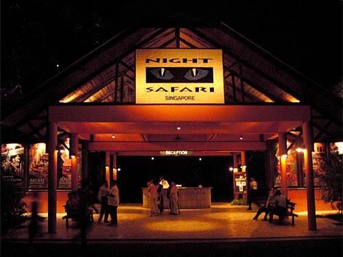 Photo of Mandai Lake Road, Night Safari, Singapore by TravelTales
