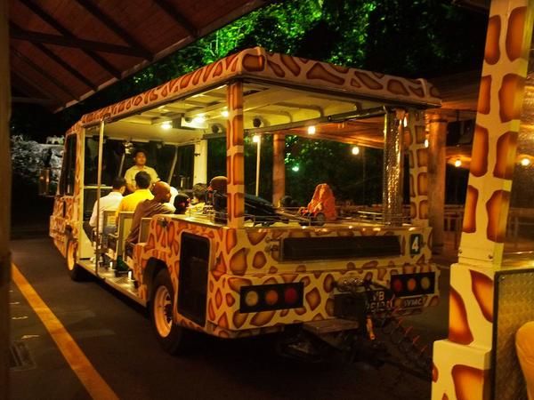 Photo of Mandai Lake Road, Night Safari, Singapore by TravelTales