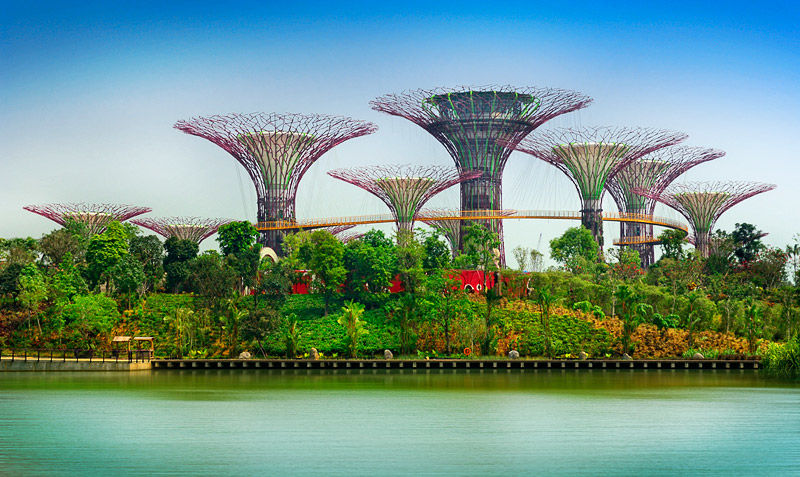 Photo of Marina Gardens Drive, Gardens by the Bay, Singapore by TravelTales