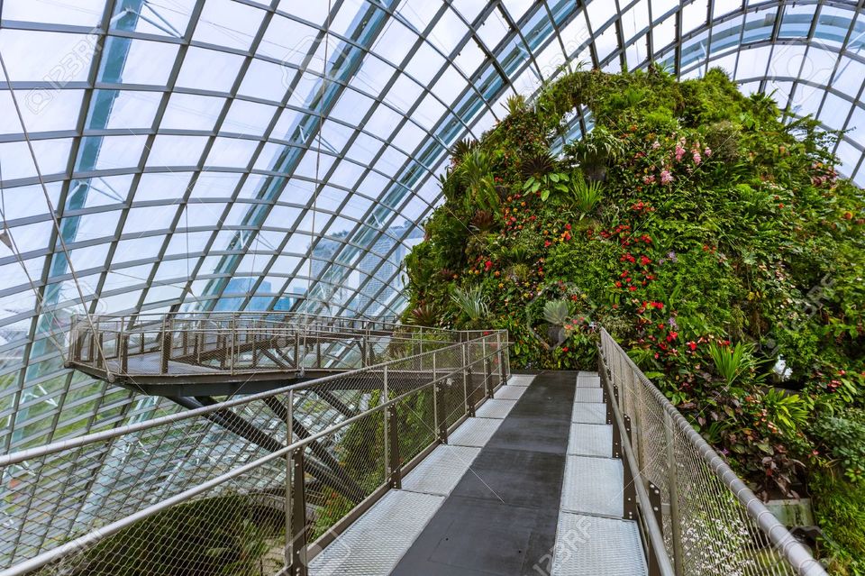 Photo of Marina Gardens Drive, Gardens by the Bay, Singapore by TravelTales