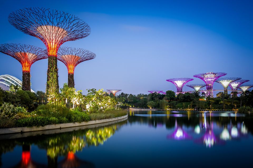 Photo of Marina Gardens Drive, Gardens by the Bay, Singapore by TravelTales