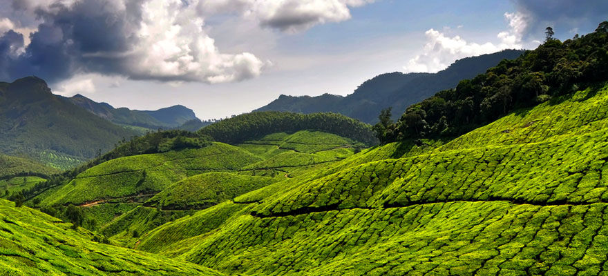 Photo of Safe Places in India for women solo traveler !! 4/5 by Travel Tales