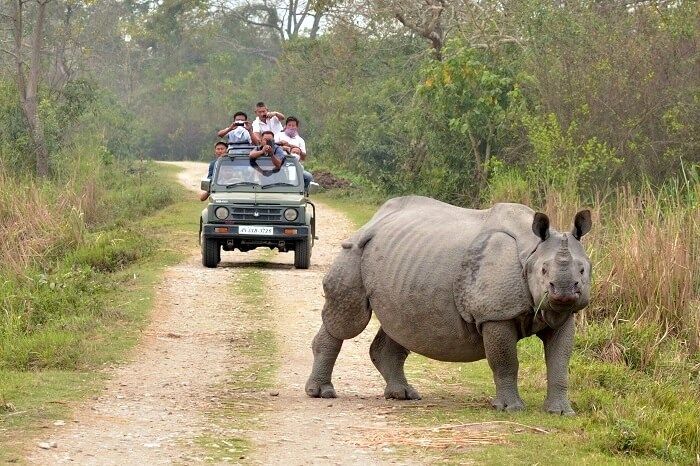 Photo of Charming Places In Northeast India That No One Told You About !! 5/7 by Travel Tales
