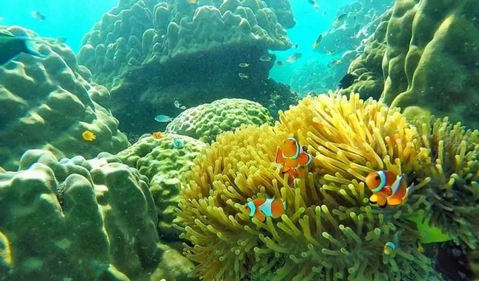 Photo of Ko Phi Phi Don, Ao Nang, Mueang Krabi District, Krabi, Thailand by Travel Tales