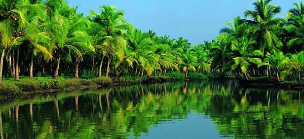 Photo of Kumarakom, Kerala, India by TravelTales