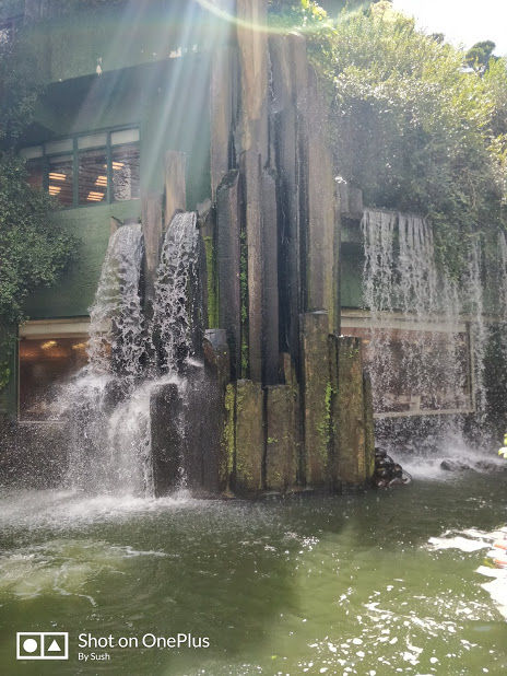 Photo of Nan Lian Garden, Fung Tak Road, Ha Yuen Leng, Hong Kong by Travel Tales