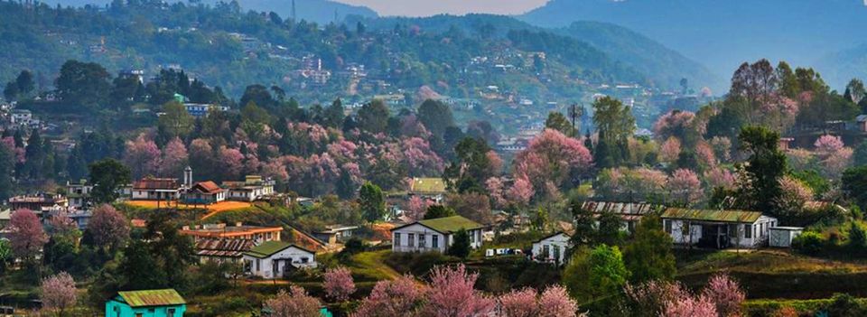 Photo of India hosted Autumn Cherry Blossom festival in Shillong & that's a visual treat to your eyes !! 7/11 by Travel Tales