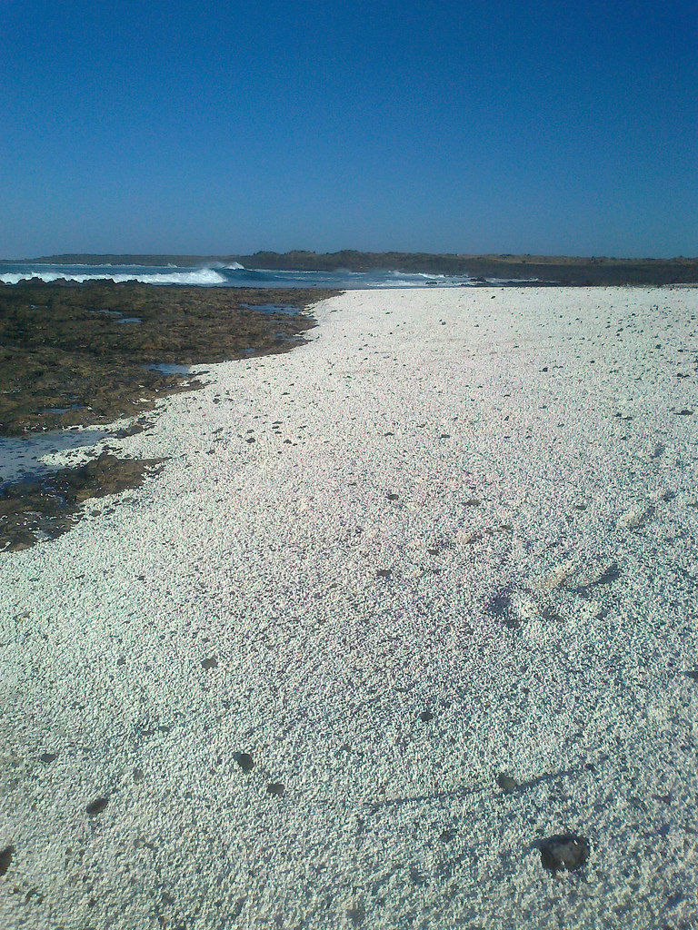 Photo of Popcorn Beach! This Sea-Side Spain's Canary Islands has corals exactly like Popcorn.. #notonTripoto 3/5 by Travel Tales