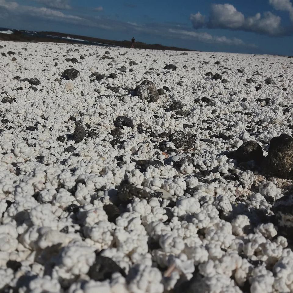 Photo of Popcorn Beach! This Sea-Side Spain's Canary Islands has corals exactly like Popcorn.. #notonTripoto 5/5 by Travel Tales