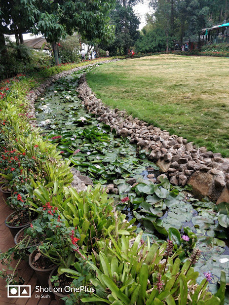 Photo of Luxury staycation in Le Meridian Resort & Spa, Mahabaleshwar #staycation 4/7 by Travel Tales