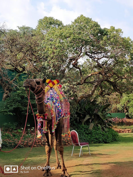 Photo of Luxury staycation in Le Meridian Resort & Spa, Mahabaleshwar #staycation by Travel Tales