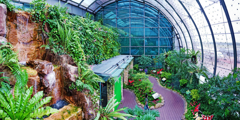 Photo of Incredible things to do at Changi to make your long layover time to a fun-filled one #flightzoned 2/18 by Travel Tales