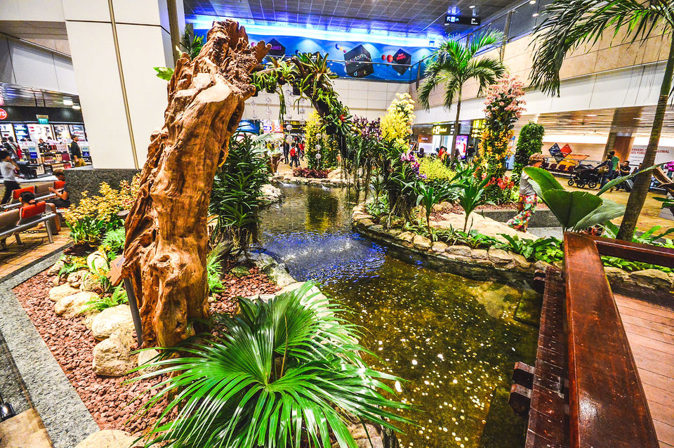 Photo of Incredible things to do at Changi to make your long layover time to a fun-filled one #flightzoned 3/18 by Travel Tales