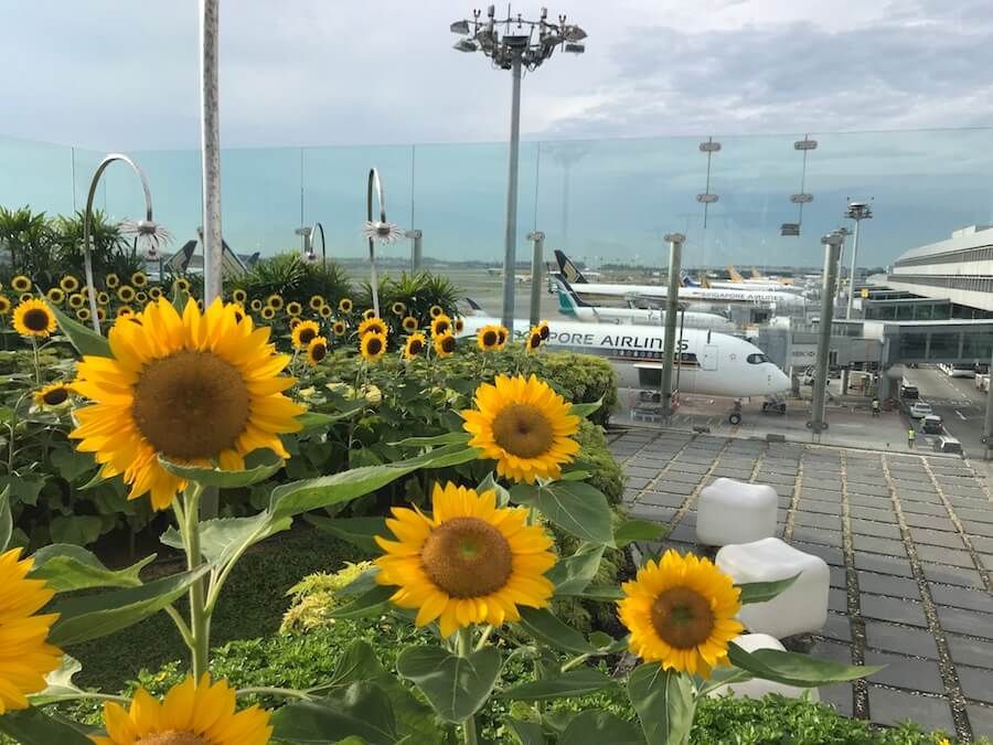 Photo of Incredible things to do at Changi to make your long layover time to a fun-filled one #flightzoned 7/18 by Travel Tales