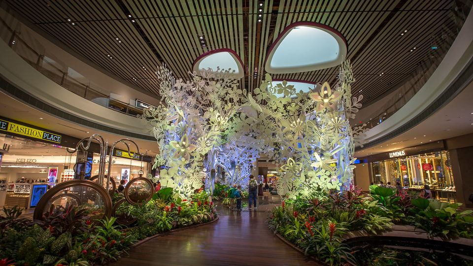 Photo of Incredible things to do at Changi to make your long layover time to a fun-filled one #flightzoned 15/18 by Travel Tales