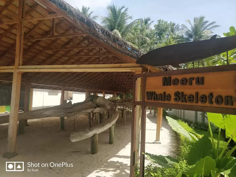 Photo of My best ever Maldivian Experience in a romantic paradise - Meeru Island Resort & Spa #staycation by Travel Tales