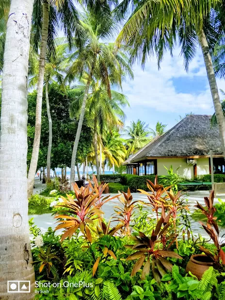 Photo of My best ever Maldivian Experience in a romantic paradise - Meeru Island Resort & Spa #staycation by Travel Tales