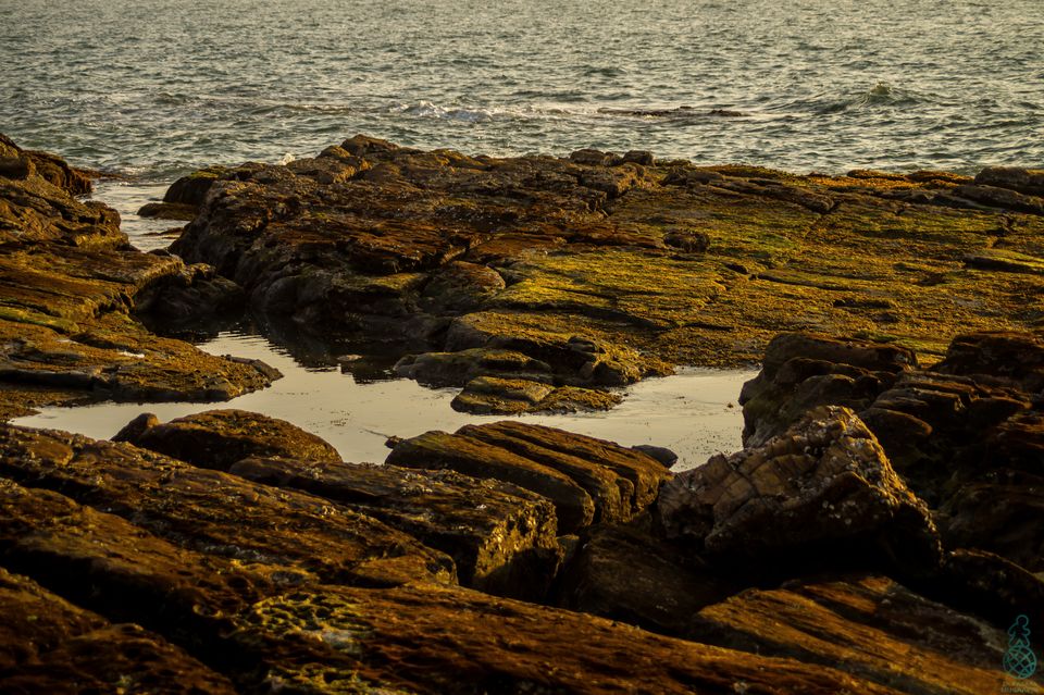 Photo of Bored of Goa, visit this Offbeat Treasure for Budget Beach Sports & Clear Waters by Sanchit Goyal