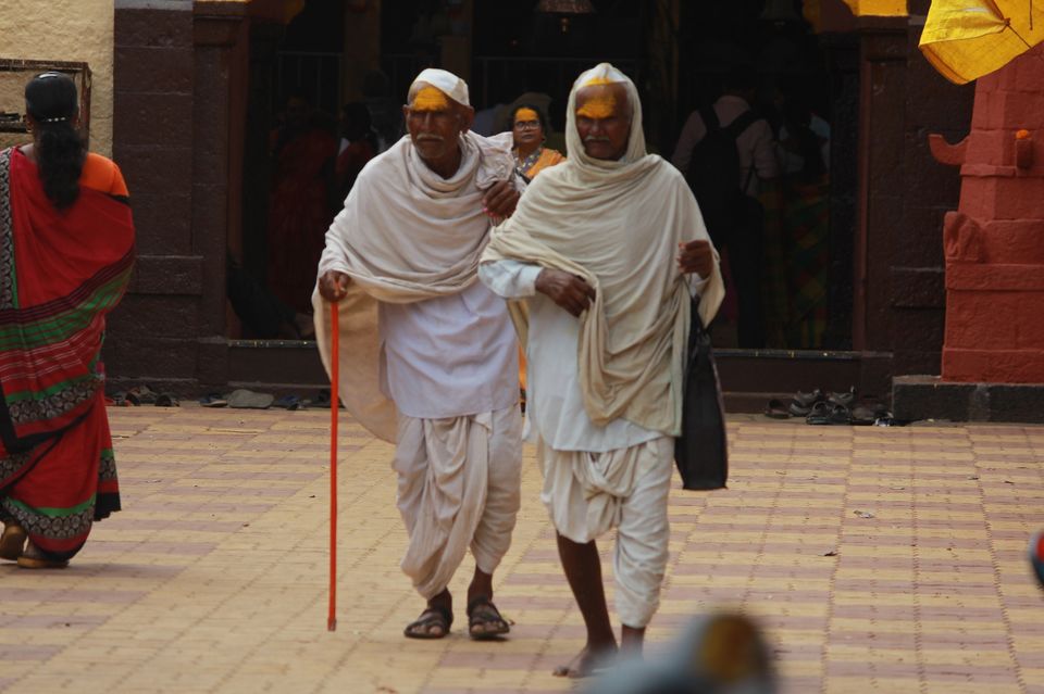 Photo of Yellow Festival || Vitthal Birdev Yatra || Biggest Haldi Festival in Maharashtra by Suraj Naik