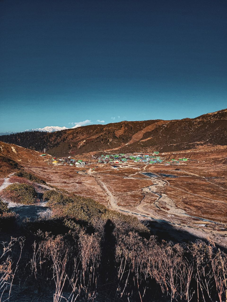 Photo of Zuluk by Suraj Naik