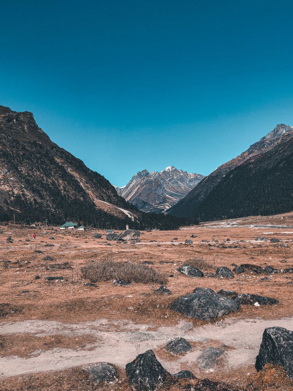 Photo of Zero Point Yumthang Valley by Suraj Naik