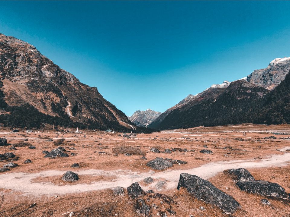 Photo of Zero Point Yumthang Valley by Suraj Naik