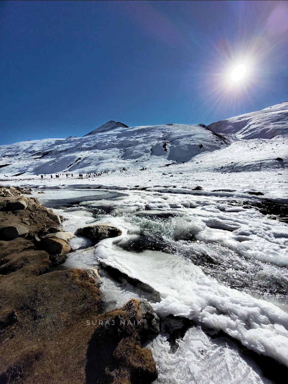Photo of Zero Point Yumthang Valley by Suraj Naik