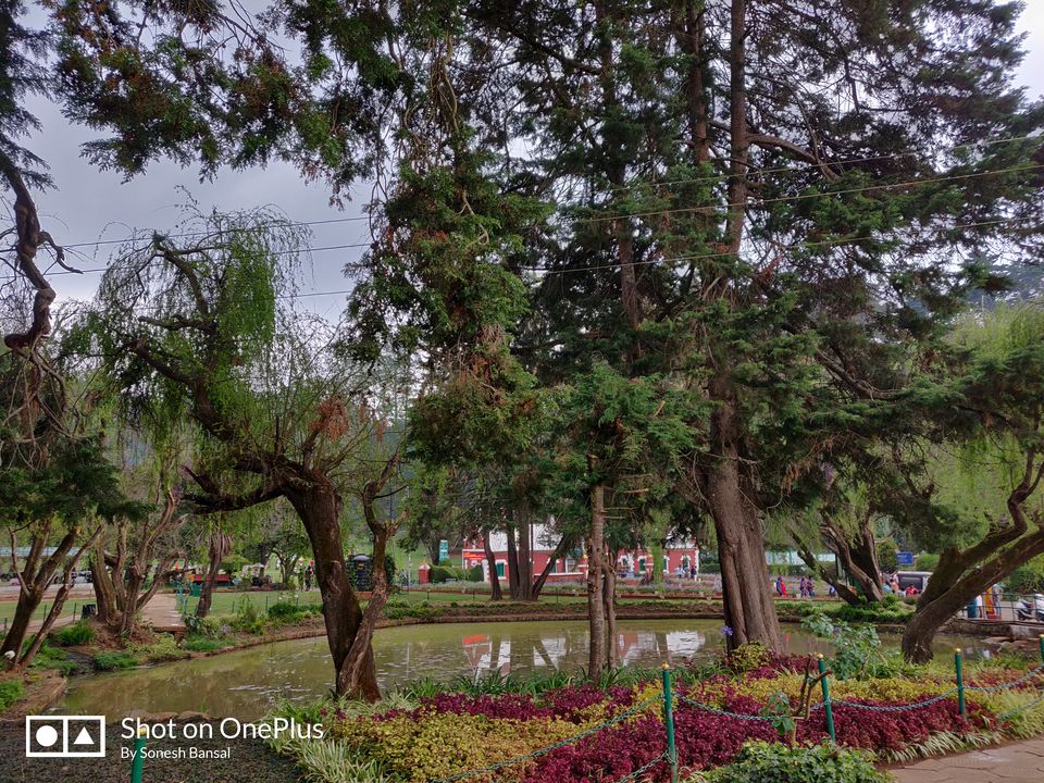 Photo of Government Botanical Garden, Vannarapettai, Ooty, Tamil Nadu, India by Sonesh Bansal