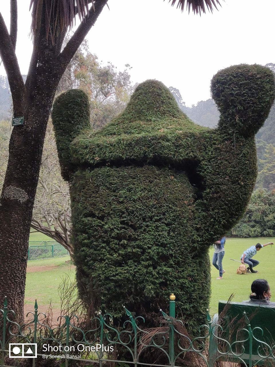 Photo of Government Botanical Garden, Vannarapettai, Ooty, Tamil Nadu, India by Sonesh Bansal