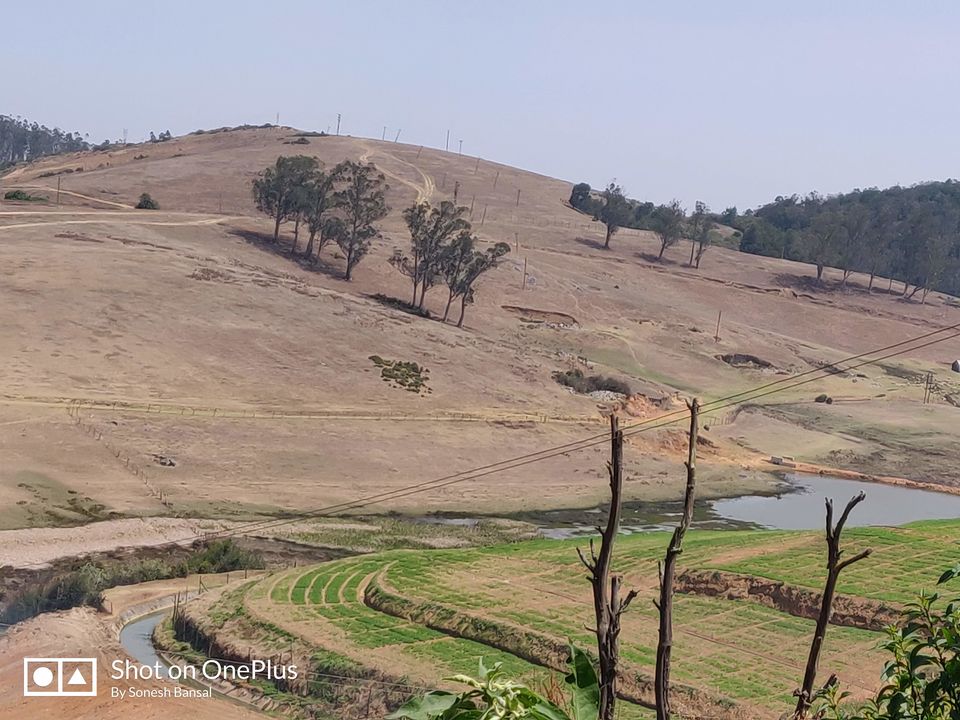 Photo of Doddabetta View Point Ooty, Tamil Nadu, India by Sonesh Bansal