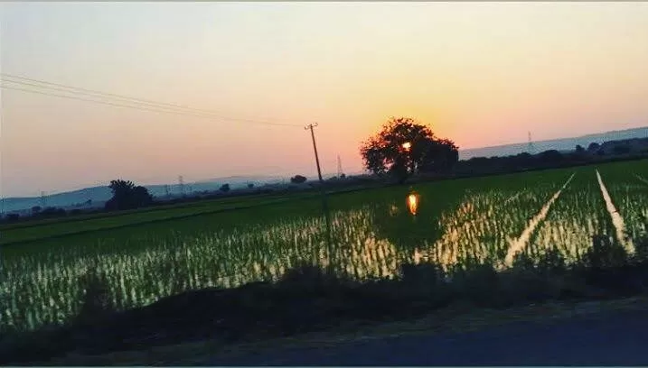 Photo of Gandikota Road, Poorva Bommepalle, Andhra Pradesh, India by Sonesh Bansal