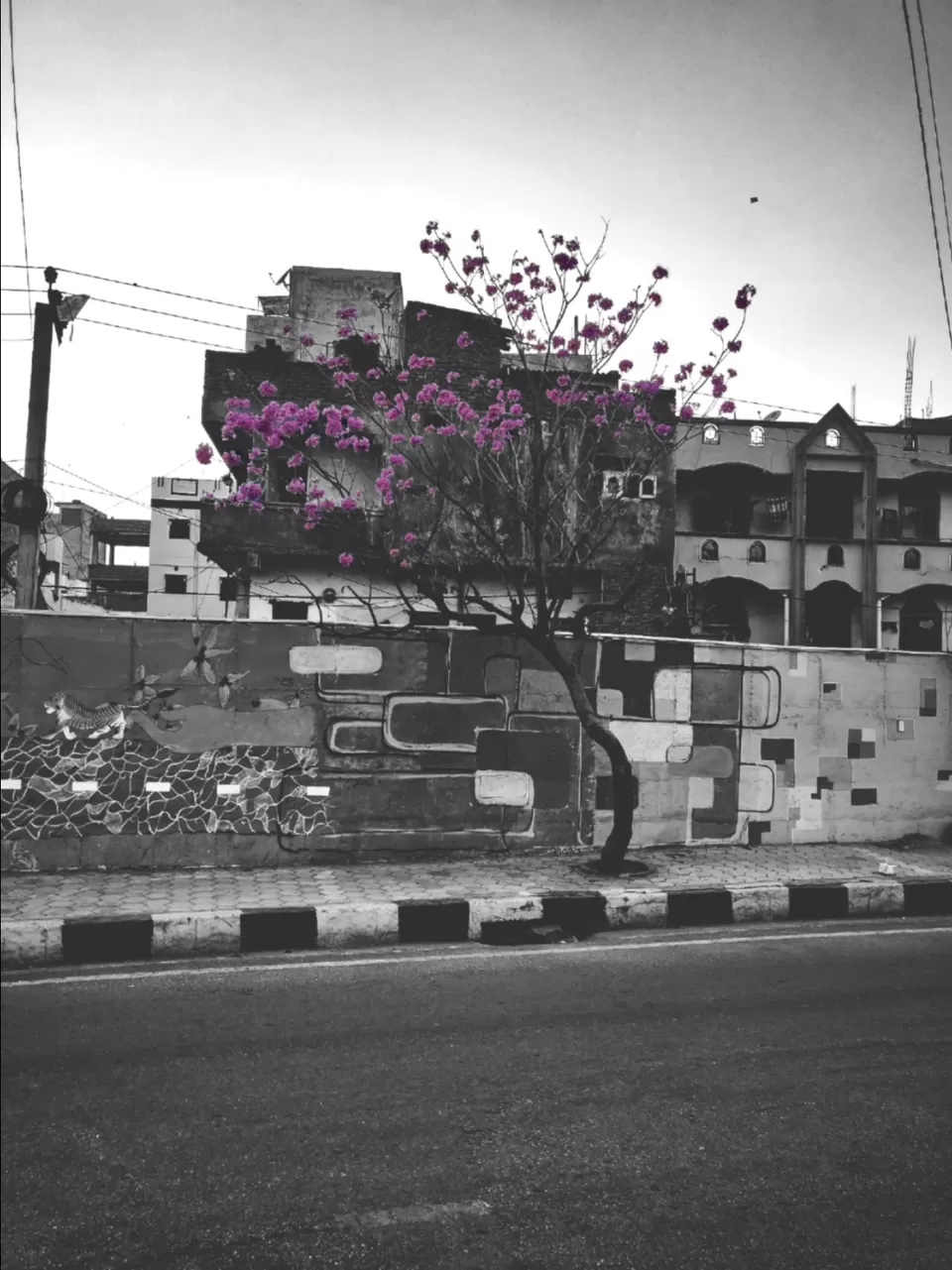 Photo of Where the North meets the South - Hyderabad by Aditya Pratap Mullick