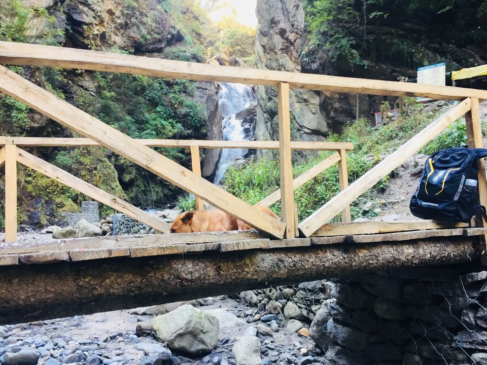Photo of Kasol ~ You are never alone when you travel with nature, walk with me to my first solo journey. by Sakir Saiyed