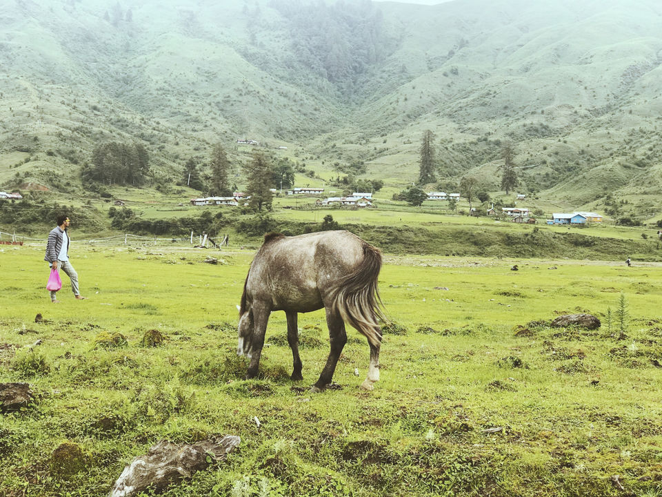Photo of Mechuka Adventure Trip Itinerary: What To Do And See In Mechuka #northeastitinerary #northeast by Nancy Kaman