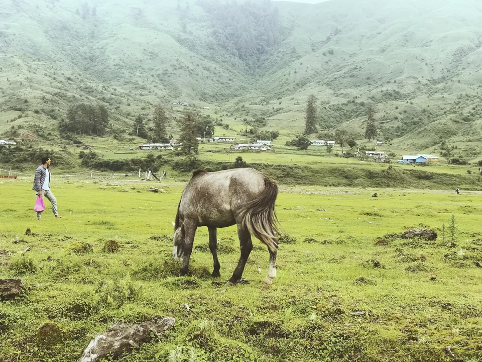 Photo of Mechuka Adventure Trip Itinerary: What To Do And See In Mechuka #northeastitinerary #northeast by Nancy Kaman