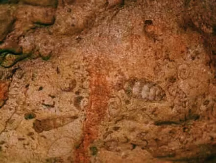 Photo of Arwah Lumshynna Cave, Cherrapunjee, Meghalaya, India by Nancy Kaman