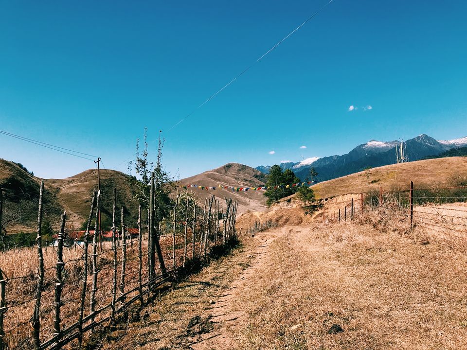 Photo of Easy and Must Do Trek in Mechuka: The Rinjinling Trek to see the Magnificent Mechuka Valley 5/34 by Nancy Kaman