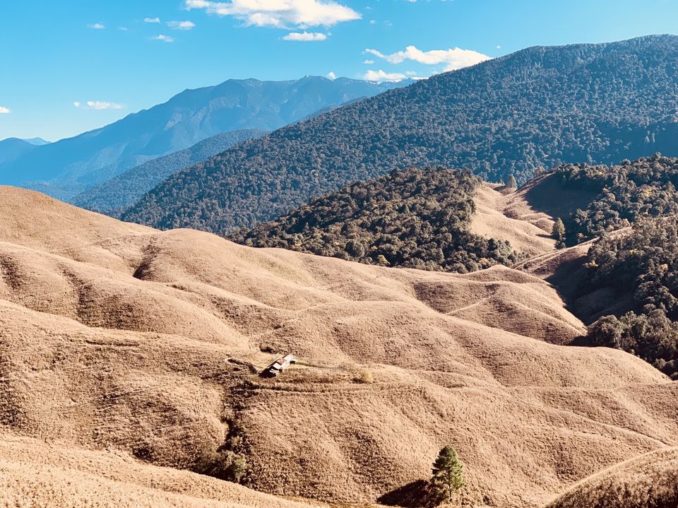 Photo of Easy and Must Do Trek in Mechuka: The Rinjinling Trek to see the Magnificent Mechuka Valley 11/34 by Nancy Kaman