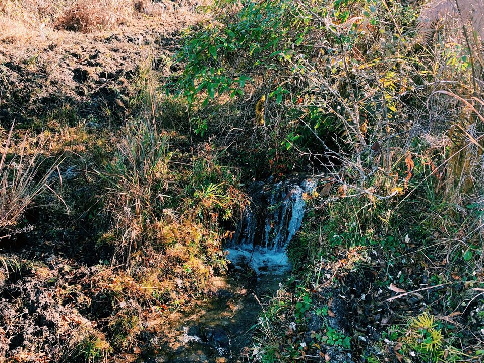 Photo of Easy and Must Do Trek in Mechuka: The Rinjinling Trek to see the Magnificent Mechuka Valley 28/34 by Nancy Kaman