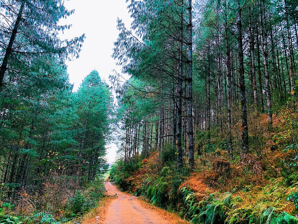 Photo of Arunachal Pradesh, India by Nancy Kaman